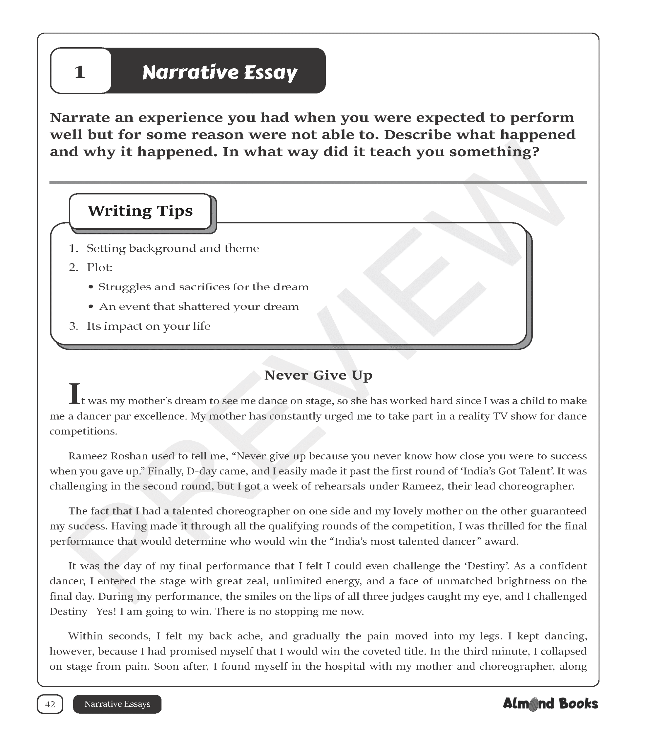 essays-previews_Page_6